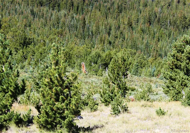 Photo 1 of Land for sale at 00 Fs 1871, Black Hawk, CO 80422 | MLS# 4480027 | Listing updated on 2026-09-05