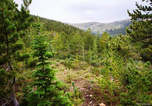 Photo 3 of Land for sale at 00 Fs 1871, Black Hawk, CO 80422 | MLS# 4480027 | Listing updated on 2026-10-20