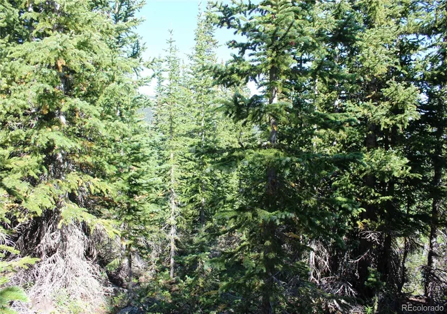 Photo 3 of Land for sale at 00 Fs 1871, Black Hawk, CO 80422 | MLS# 4480027 | Listing updated on 2026-09-05