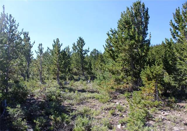 Photo 4 of Land for sale at 00 Fs 1871, Black Hawk, CO 80422 | MLS# 4480027 | Listing updated on 2026-09-05