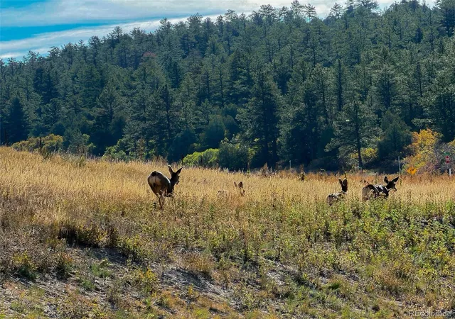Photo 1 of Land for sale at 6235 Perry Park Blvd, Larkspur, CO 80118 | MLS# 5700807 | Listing updated on 2026-10-09