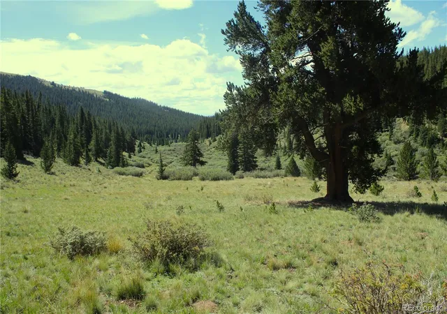Photo 1 of Sale Pending at 3956 659, Fairplay, CO 80440 | MLS# 1642599 | Listing updated on 2026-09-28