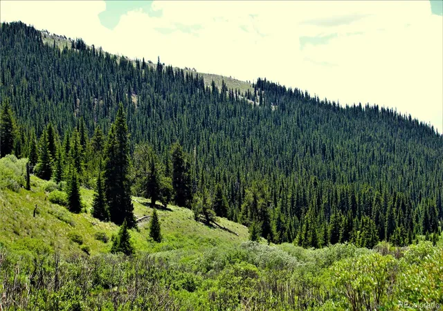Photo 3 of Sale Pending at 3956 659, Fairplay, CO 80440 | MLS# 1642599 | Listing updated on 2026-09-28