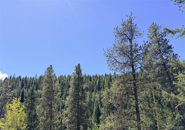 Photo 1 of Land for sale at 000 Silver Dollar Lode, Georgetown, CO 80444 | MLS# 5561699 | Listing updated on 2026-09-07
