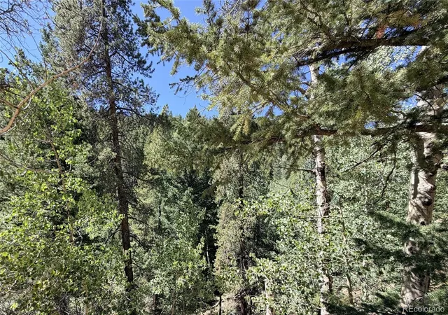 Photo 2 of Land for sale at 000 Silver Dollar Lode, Georgetown, CO 80444 | MLS# 5561699 | Listing updated on 2026-09-07