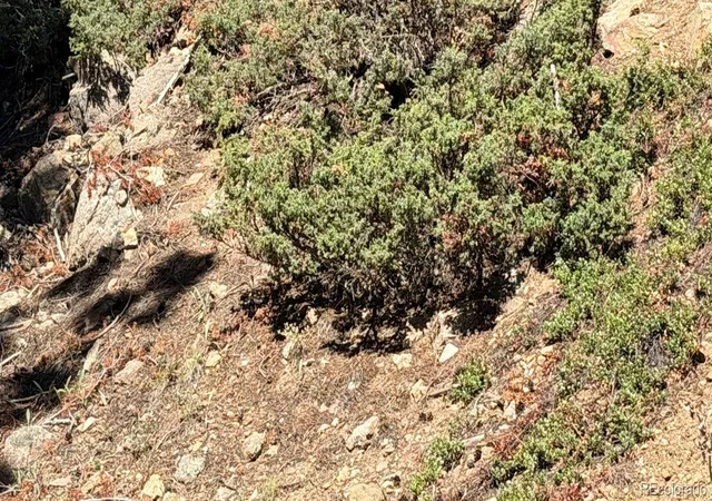 Photo 3 of Land for sale at 000 Silver Dollar Lode, Georgetown, CO 80444 | MLS# 5561699 | Listing updated on 2026-09-07