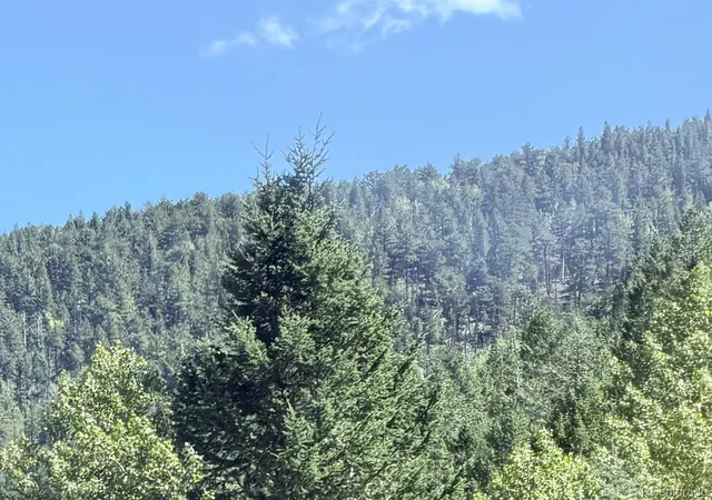 Photo 4 of Land for sale at 000 Silver Dollar Lode, Georgetown, CO 80444 | MLS# 5561699 | Listing updated on 2026-09-07