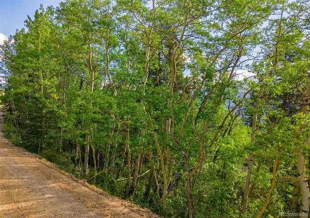 Photo 2 of Land for sale at 1238 Quartzville, Alma, CO 80420 | MLS# 6710545 | Listing updated on 2026-09-07