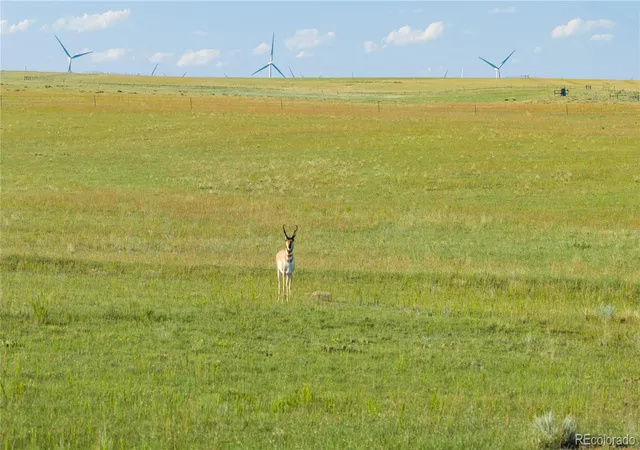 Photo 2 of Sale Pending at 6555 N Yoder Rd, Calhan, CO 80808 | MLS# 8214309 | Listing updated on 2026-10-06