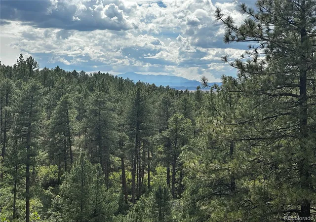 Photo 3 of Single family home for sale at 10996 Deerfield Rd, Franktown, CO 80116 | MLS# 6185224 | Listing updated on 2026-10-04