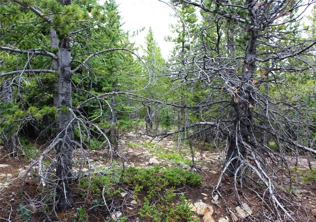 Photo 3 of Land for sale at 5285 Lucy Agnes, Black Hawk, CO 80422 | MLS# 3371902 | Listing updated on 2026-09-13