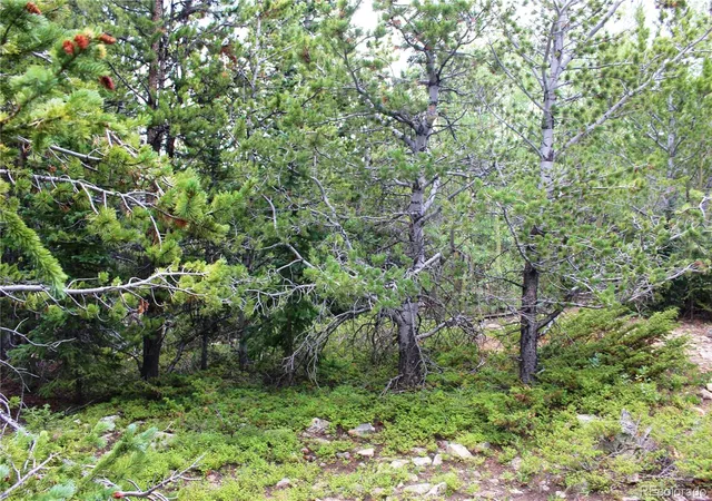 Photo 3 of Land for sale at 5285 Lucy Agnes, Black Hawk, CO 80422 | MLS# 3371902 | Listing updated on 2026-09-13