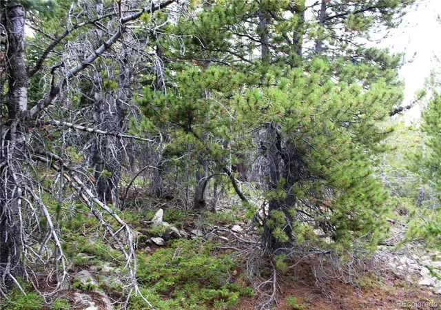 Photo 4 of Land for sale at 5285 Lucy Agnes, Black Hawk, CO 80422 | MLS# 3371902 | Listing updated on 2026-09-13