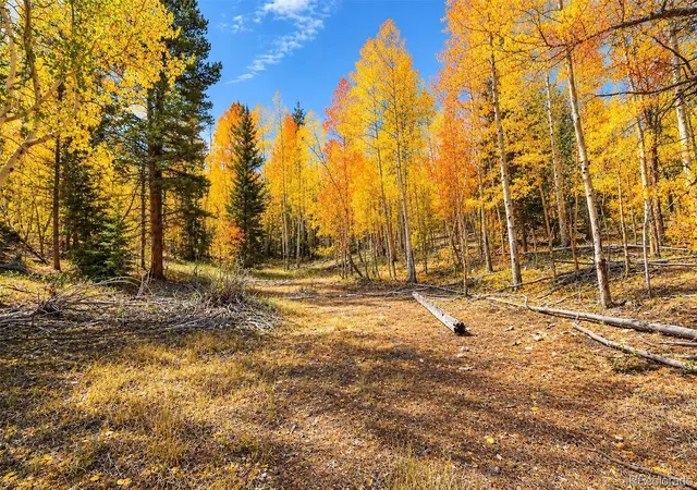 Land for sale at Lot 1 Venture Rd, Fairplay, CO 80440 | MLS# 6462998