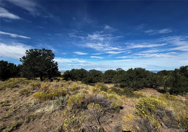 Photo 2 of Land for sale at 1411 W Badger Rd, Crestone, CO 81131 | MLS# 8140449 | Listing updated on 2026-09-24
