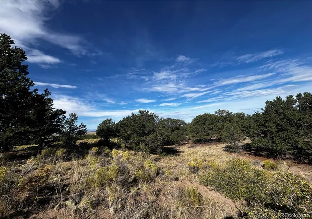 Photo 3 of Land for sale at 1411 W Badger Rd, Crestone, CO 81131 | MLS# 8140449 | Listing updated on 2026-09-24