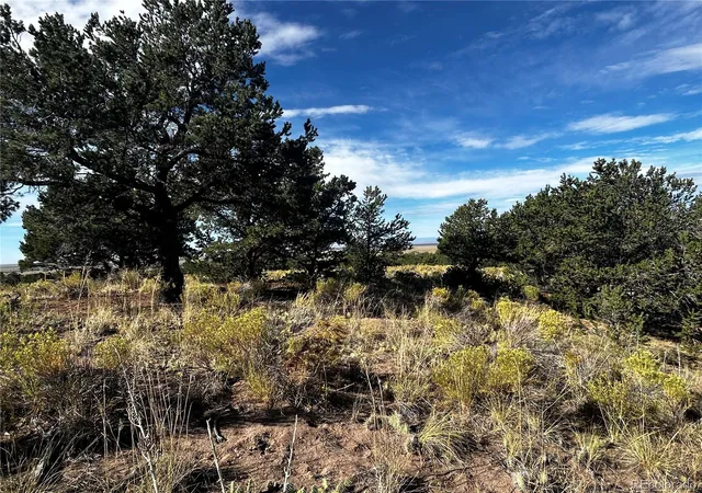 Photo 3 of Land for sale at 1411 W Badger Rd, Crestone, CO 81131 | MLS# 8140449 | Listing updated on 2026-09-24