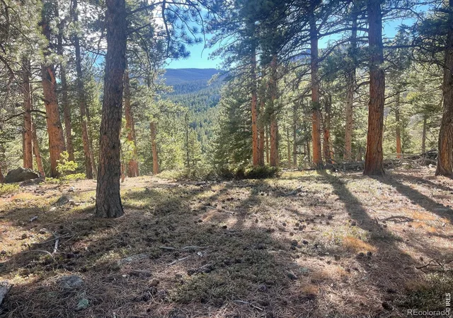 Photo 1 of Land for sale at 399 N Skinner Rd, Allenspark, CO 80510 | MLS# IR1068528 | Listing updated on 2026-10-05