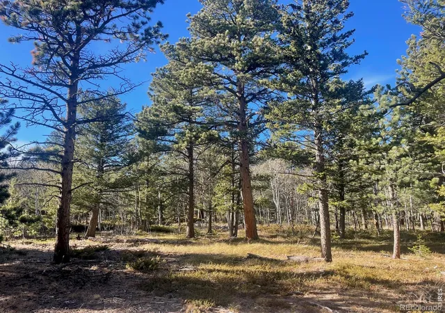 Photo 2 of Land for sale at 399 N Skinner Rd, Allenspark, CO 80510 | MLS# IR1068528 | Listing updated on 2026-10-05