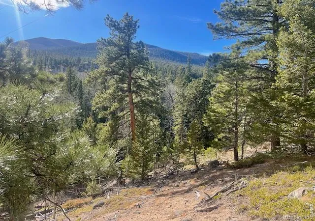 Photo 3 of Land for sale at 399 N Skinner Rd, Allenspark, CO 80510 | MLS# IR1068528 | Listing updated on 2026-10-05