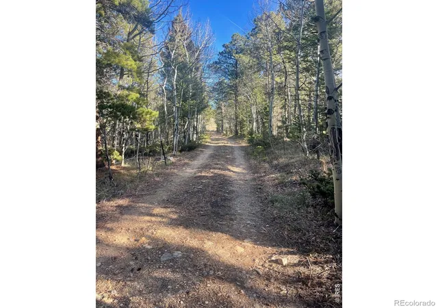 Photo 3 of Land for sale at 399 N Skinner Rd, Allenspark, CO 80510 | MLS# IR1068528 | Listing updated on 2026-10-05