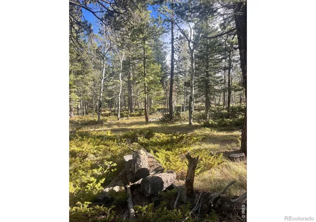 Photo 4 of Land for sale at 399 N Skinner Rd, Allenspark, CO 80510 | MLS# IR1068528 | Listing updated on 2026-10-05
