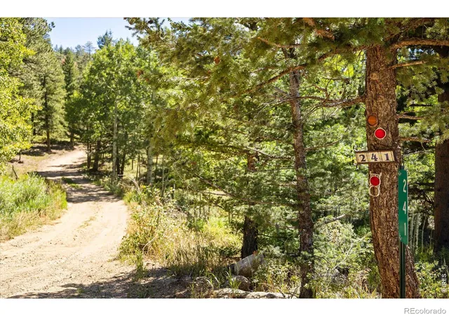 Photo 36 of Single family home for sale at 241 Pine Glade Rd, Nederland, CO 80466 | MLS# IR1068545 | Listing updated on 2026-09-12