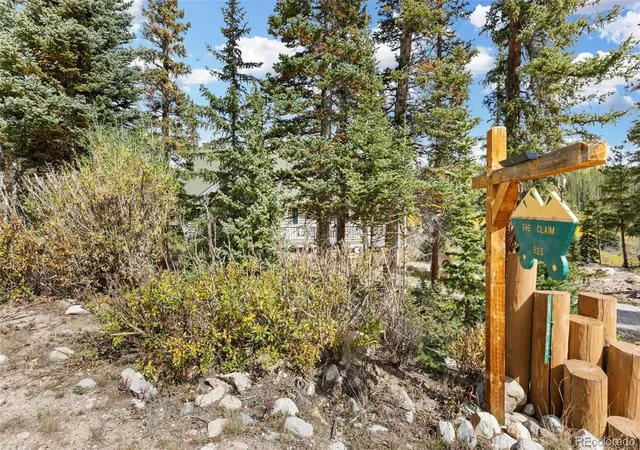 Photo 47 of Single family home for sale at 925 Gold Pan Ln, Fairplay, CO 80440 | MLS# 6136027 | Listing updated on 2026-09-12