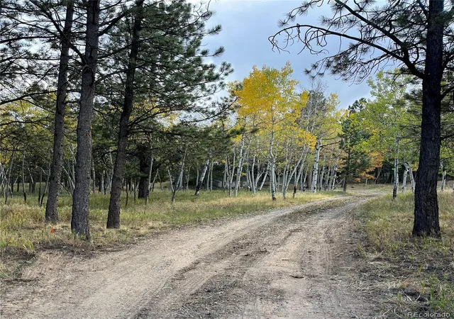 Photo 3 of Single family home for sale at 150 Yellow Pine Dr, Bailey, CO 80421 | MLS# 8227077 | Listing updated on 2026-10-08