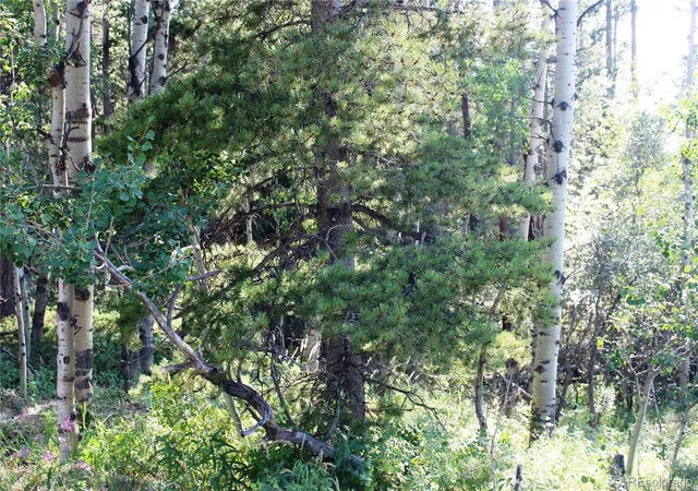 Photo 1 of Land for sale at Lot 028 Sunflower Ln, Black Hawk, CO 80422 | MLS# 5588470 | Listing updated on 2026-09-13