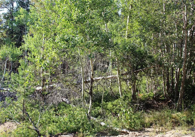Photo 2 of Land for sale at Lot 028 Sunflower Ln, Black Hawk, CO 80422 | MLS# 5588470 | Listing updated on 2026-09-13