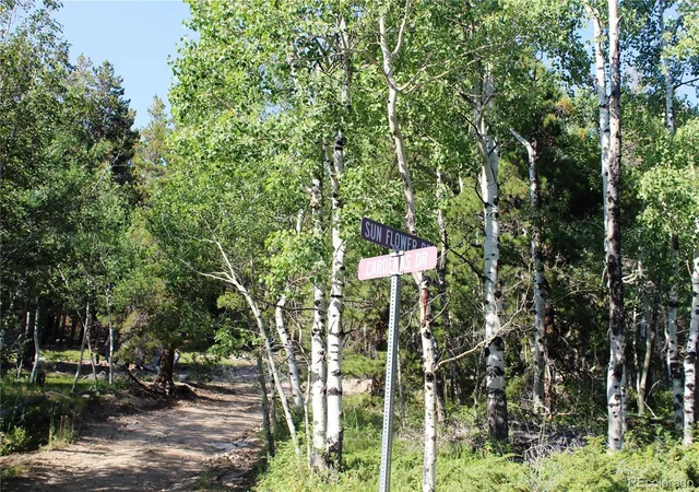 Photo 3 of Land for sale at Lot 028 Sunflower Ln, Black Hawk, CO 80422 | MLS# 5588470 | Listing updated on 2026-09-13