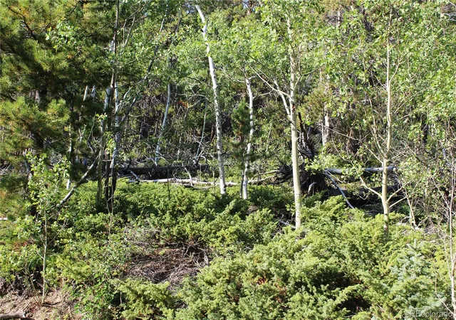 Photo 4 of Land for sale at Lot 028 Sunflower Ln, Black Hawk, CO 80422 | MLS# 5588470 | Listing updated on 2026-09-13