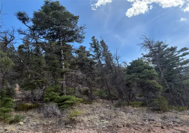 Photo 3 of Land for sale at Lot 5504 Kriendler Rd, San Luis, CO 81152 | MLS# 4197894 | Listing updated on 2026-09-13
