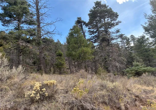 Photo 4 of Land for sale at Lot 5504 Kriendler Rd, San Luis, CO 81152 | MLS# 4197894 | Listing updated on 2026-09-13