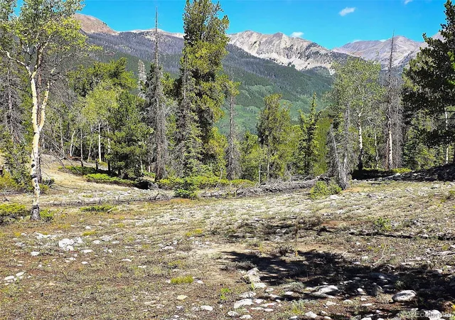 Photo 1 of Single family home for sale at 840 Forest Service Rd 890, Sargents, CO 81248 | MLS# 9712136 | Listing updated on 2026-09-13