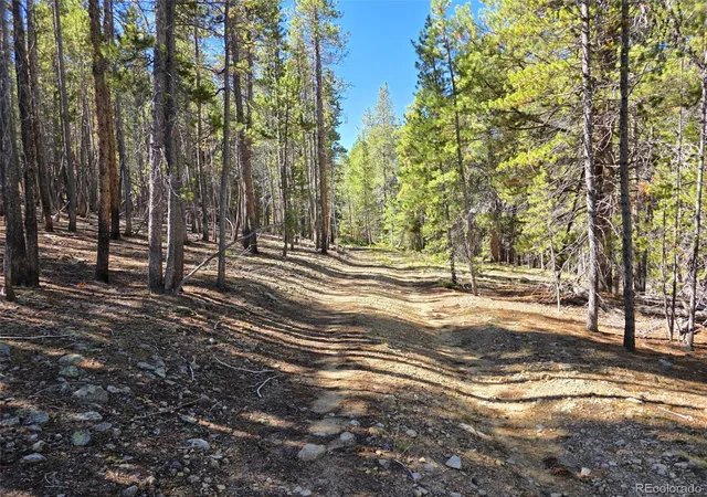 Photo 4 of Single family home for sale at 840 Forest Service Rd 890, Sargents, CO 81248 | MLS# 9712136 | Listing updated on 2026-09-13