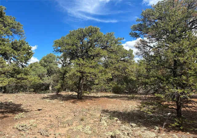 Photo 2 of Land for sale at 36ac Bull Elk Trl Rd, San Luis, CO 81152 | MLS# 5423804 | Listing updated on 2026-09-14