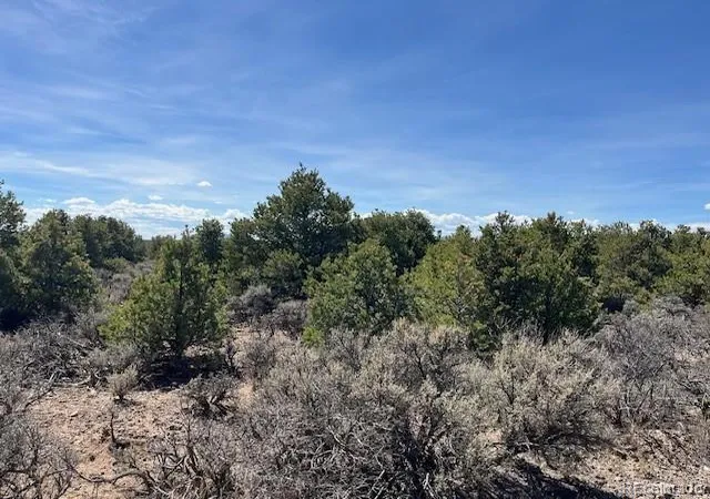 Photo 1 of Land for sale at Garland Trl Parcel 13, San Luis, CO 81152 | MLS# 3810314 | Listing updated on 2026-09-14