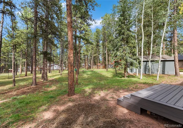 Photo 4 of Single family home for sale at 450 County Rd, Woodland Park, CO 80863 | MLS# 5092657 | Listing updated on 2026-10-29