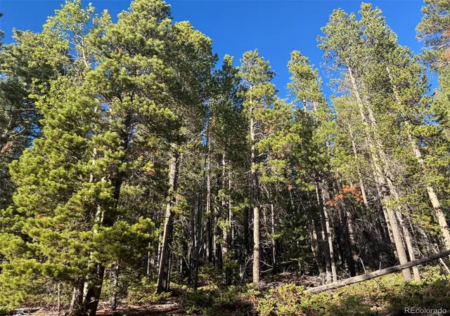 Photo 2 of Land for sale at Lot 3160 Purnell Ln, Fort Garland, CO 81133 | MLS# 8218005 | Listing updated on 2026-09-15