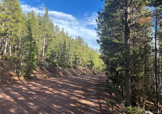 Photo 3 of Land for sale at Lot 3160 Purnell Ln, Fort Garland, CO 81133 | MLS# 8218005 | Listing updated on 2026-09-15