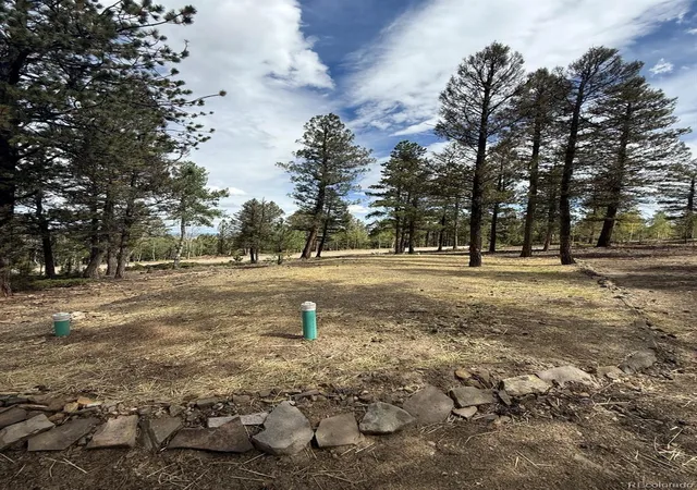 Photo 3 of Land for sale at 1667 Singletree Rd, Hartsel, CO 80449 | MLS# 3139394 | Listing updated on 2026-09-21