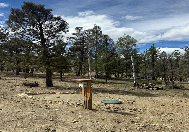 Photo 3 of Land for sale at 1667 Singletree Rd, Hartsel, CO 80449 | MLS# 3139394 | Listing updated on 2026-09-21