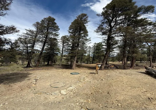 Photo 4 of Land for sale at 1667 Singletree Rd, Hartsel, CO 80449 | MLS# 3139394 | Listing updated on 2026-09-21