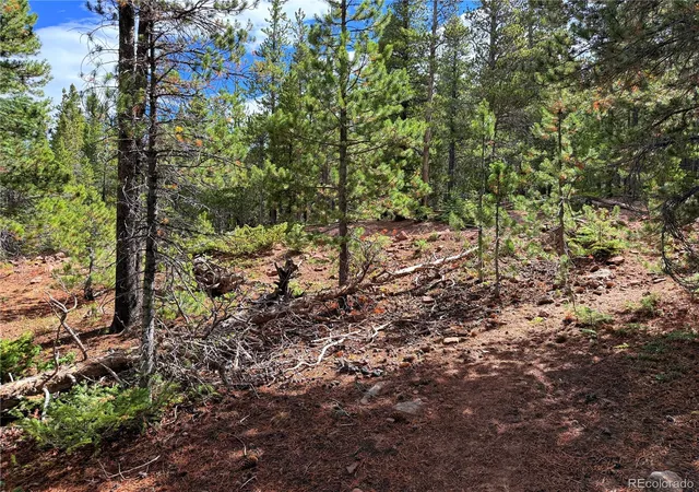 Photo 1 of Land for sale at Lot 3187 Purnell Ln, Fort Garland, CO 81133 | MLS# 3813977 | Listing updated on 2026-09-16
