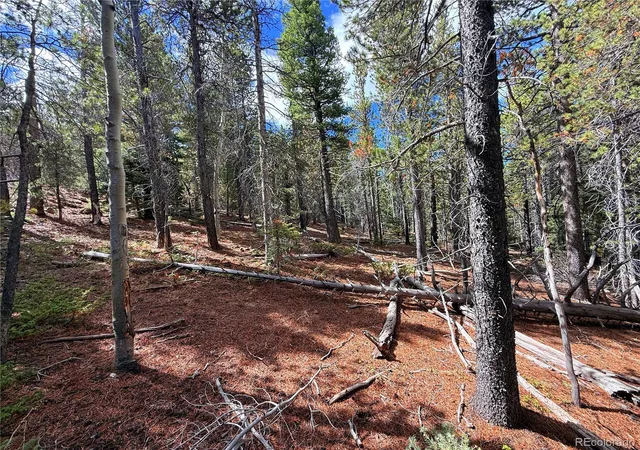 Photo 2 of Land for sale at Lot 3187 Purnell Ln, Fort Garland, CO 81133 | MLS# 3813977 | Listing updated on 2026-09-16