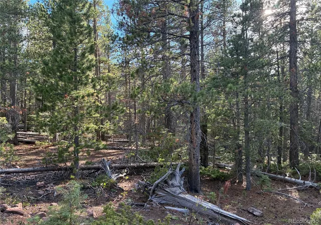 Photo 3 of Land for sale at Lot 3187 Purnell Ln, Fort Garland, CO 81133 | MLS# 3813977 | Listing updated on 2026-09-16