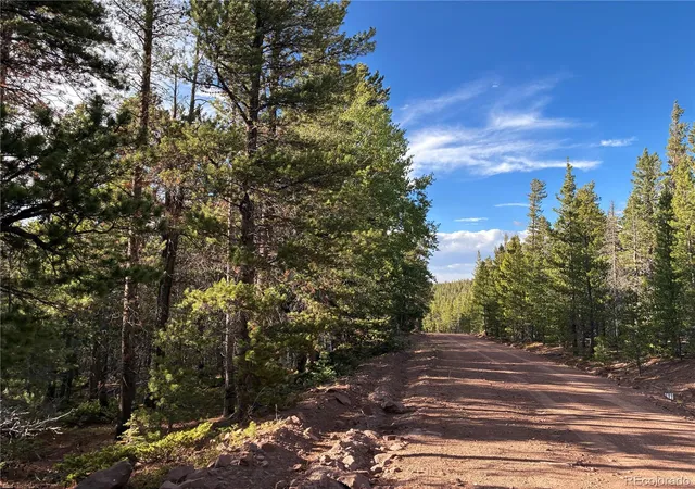 Photo 3 of Land for sale at Lot 3187 Purnell Ln, Fort Garland, CO 81133 | MLS# 3813977 | Listing updated on 2026-09-16