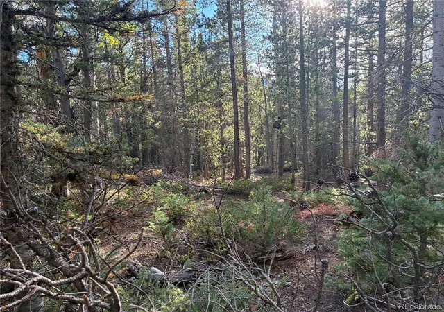 Photo 4 of Land for sale at Lot 3187 Purnell Ln, Fort Garland, CO 81133 | MLS# 3813977 | Listing updated on 2026-09-16